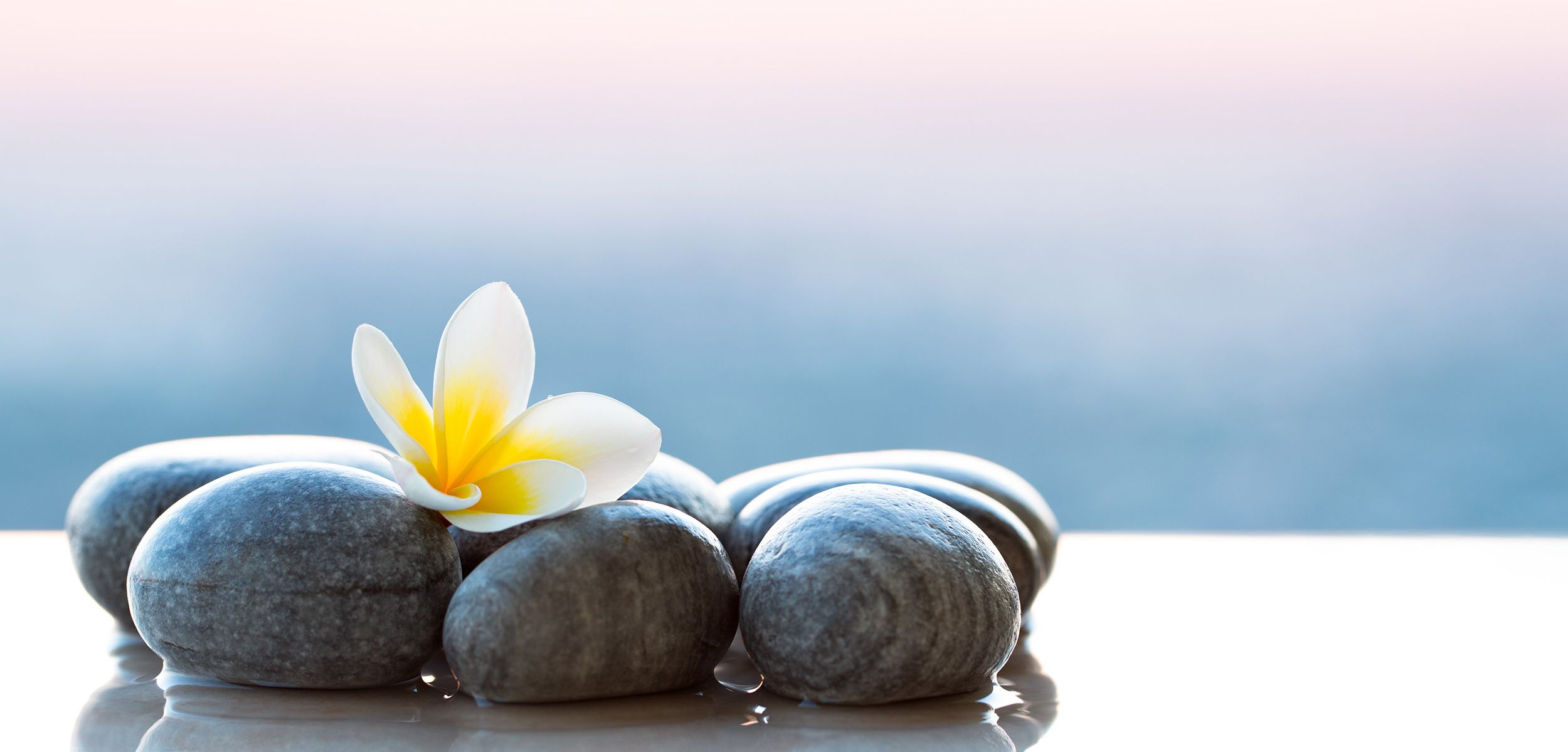 Our Website Is Still Under Construction